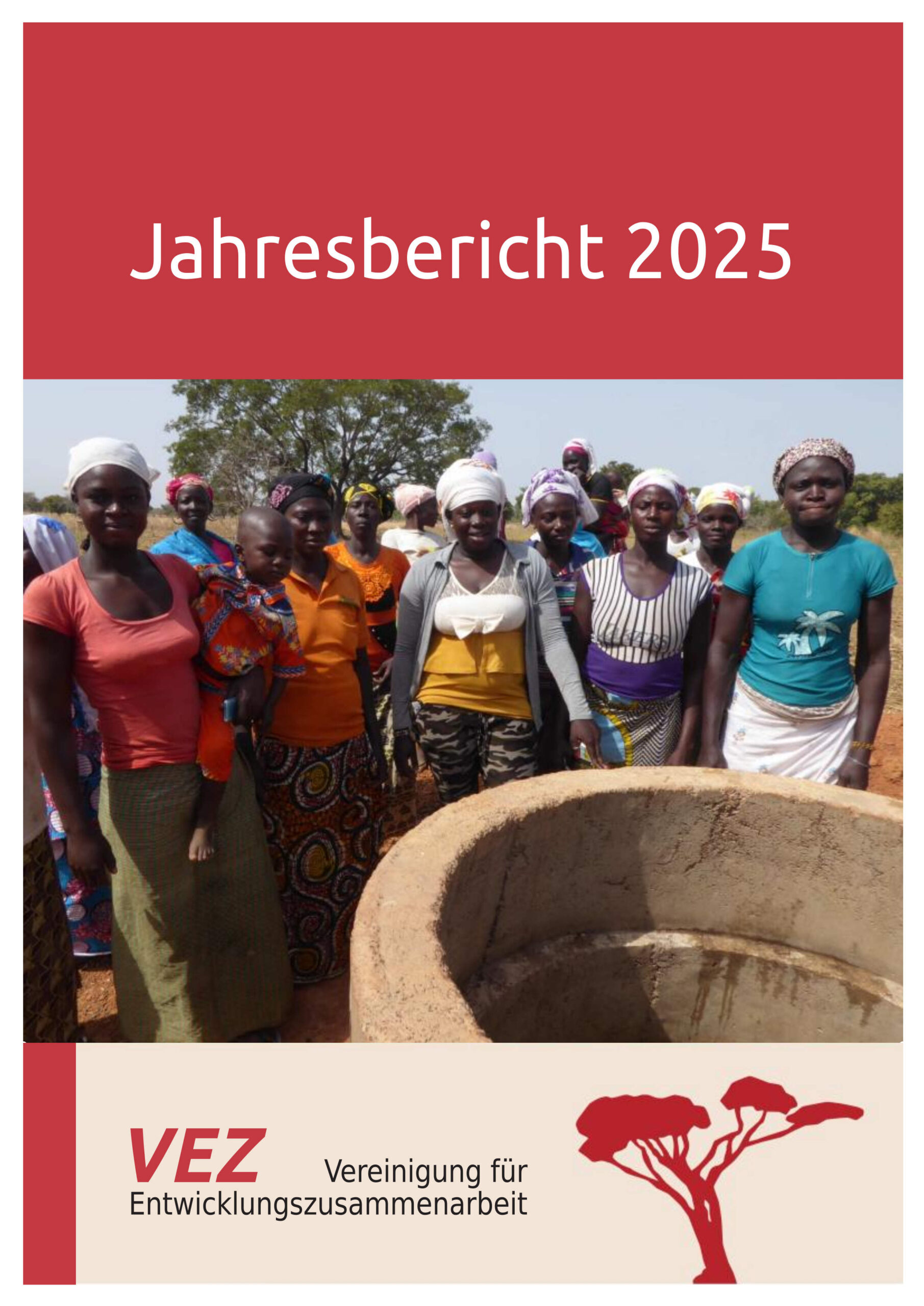 VEZ Jahresbericht 2025
